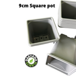 9 cm Square plastic pots Gray - Quantity 50