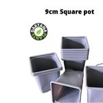 9 cm Square plastic pots Gray - Quantity 50