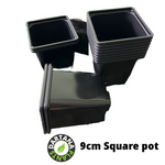 9 cm Square plastic pots Black - Quantity 50