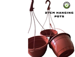 1,2,3 or 5 27cm Hanging pots in Terracotta. or Dark Green.
