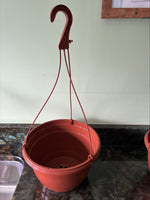 1,2,3 or 5 27cm Hanging pots in Terracotta.