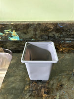 9 cm Square plastic pots Gray - Quantity 50