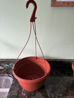 1,2,3 or 5 27cm Hanging pots in Terracotta.