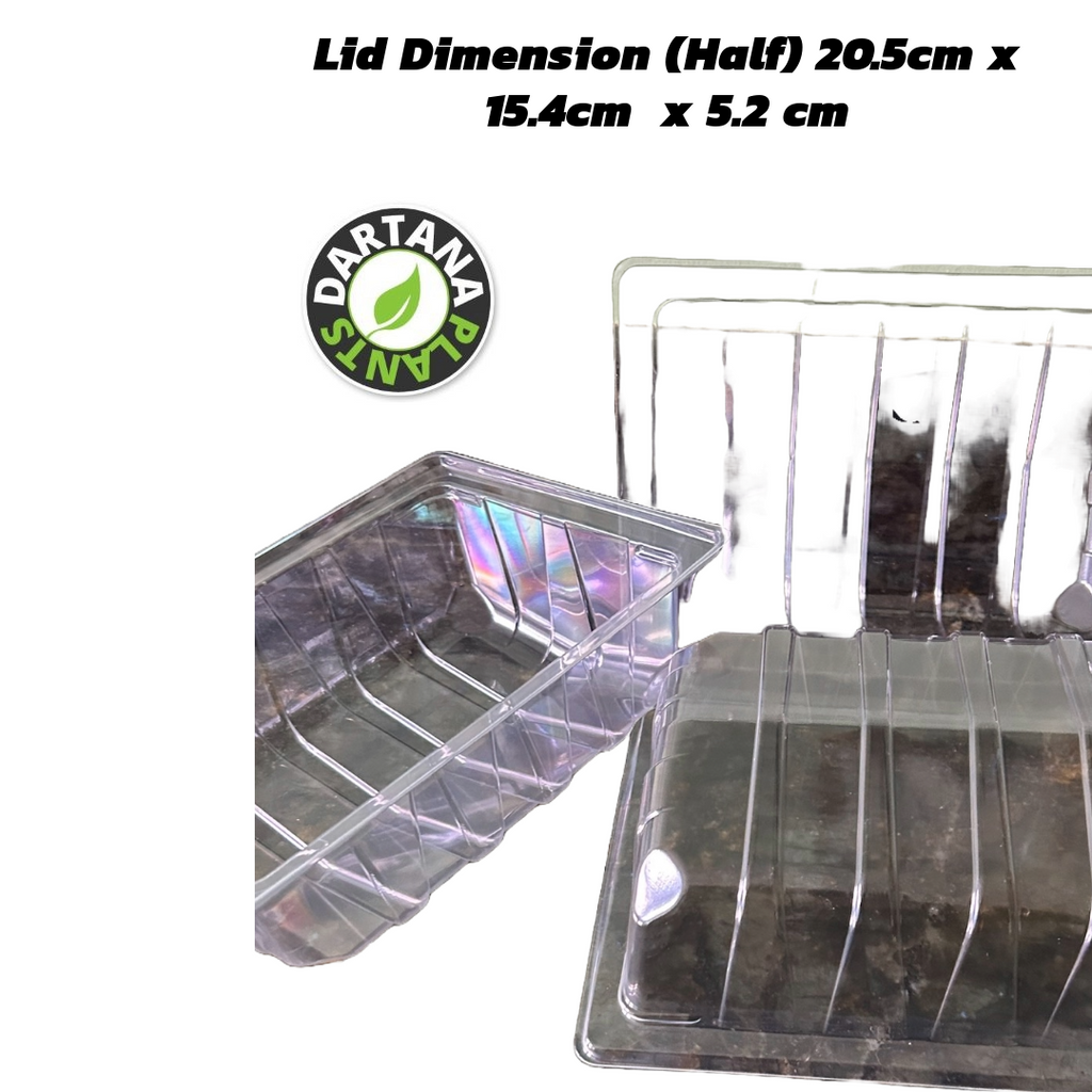 Half Size Seed Tray Propagator With Watering Holes - Various Quantities