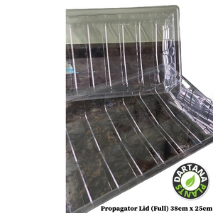 Half Size Seed Tray Propagator Lids - Various Quantities