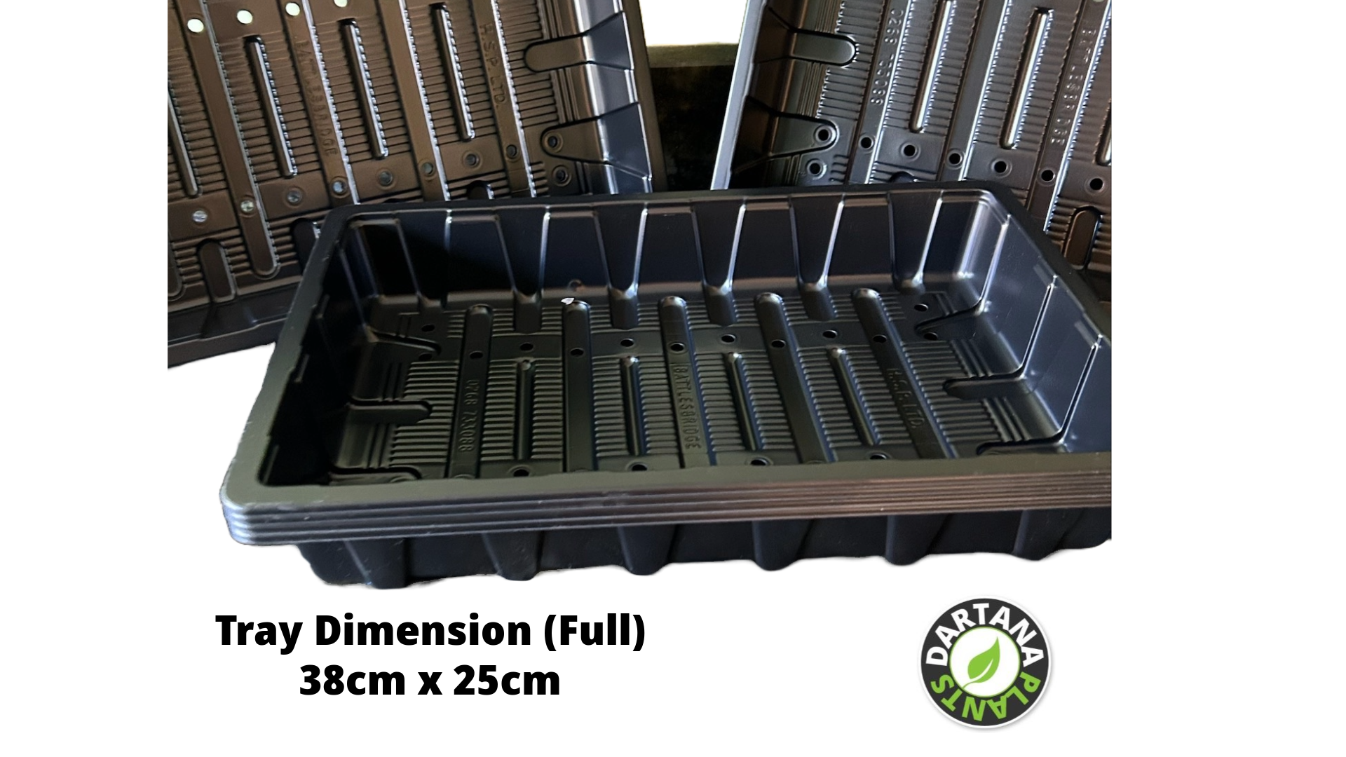 Seed Tray Full Size With Watering Holes - Various Quantities