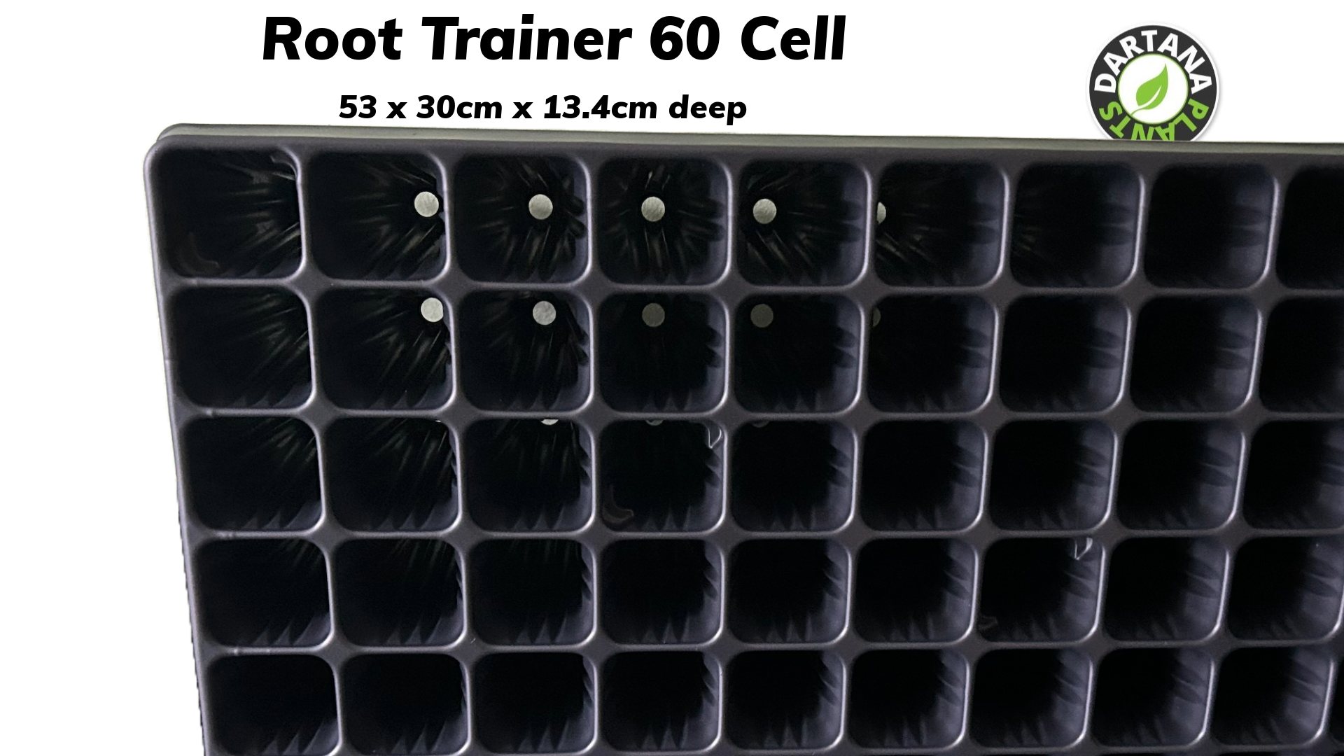 1 x Root Trainer 60 Cell Deep Plug Plant Tray Root Trainer