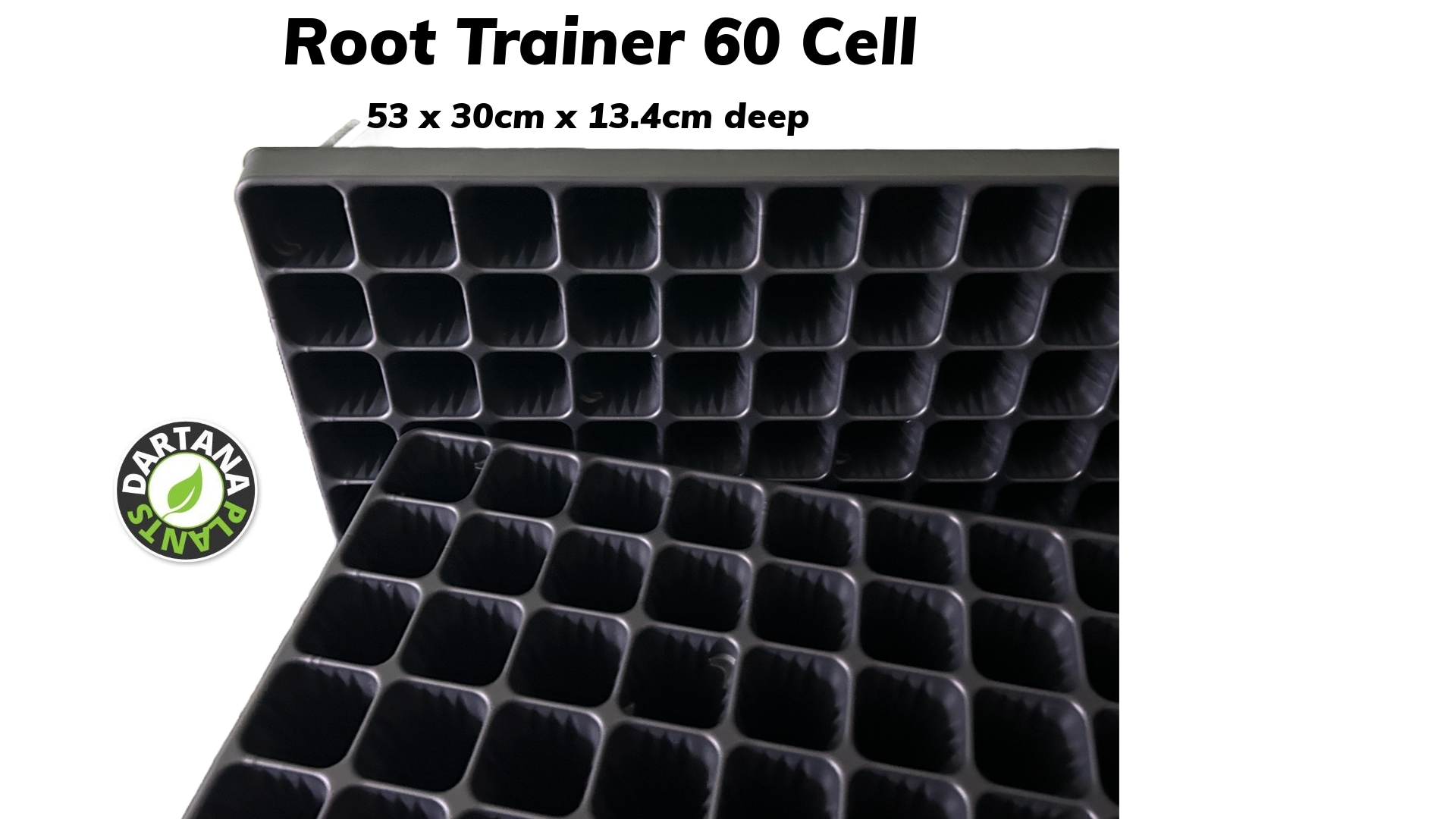 Root Trainer 60 Cell Deep Plug Plant Tray Root Trainer - Various Options