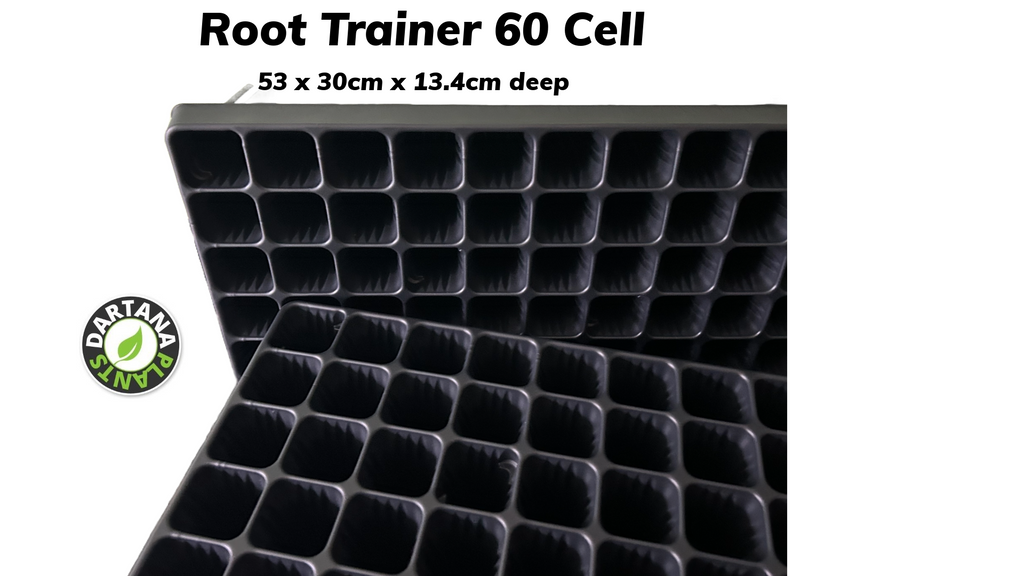 1 x Root Trainer 60 Cell Deep Plug Plant Tray Root Trainer