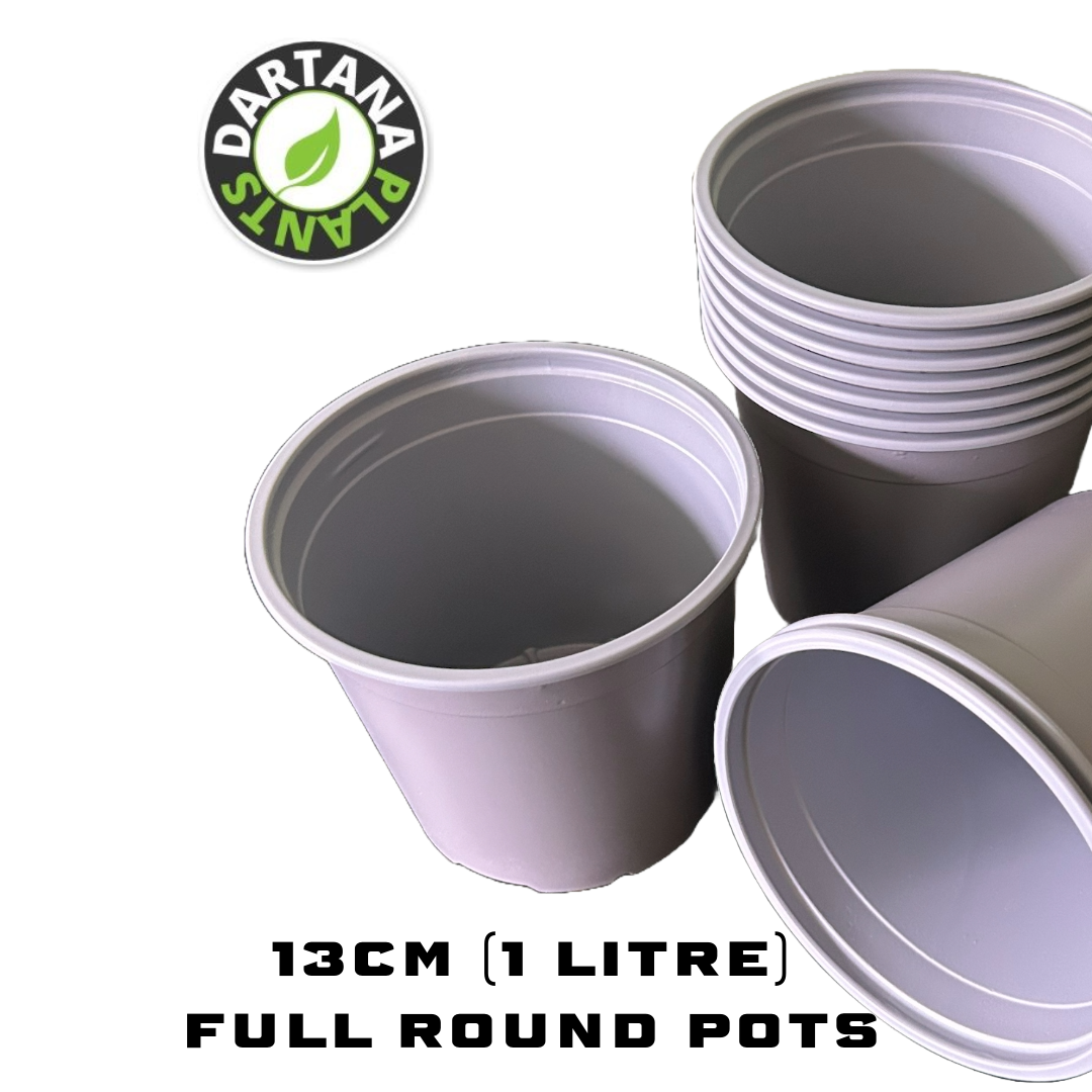 1 litre plant pot size 13 cm (1 Litre) Plant Pots Royal Grey