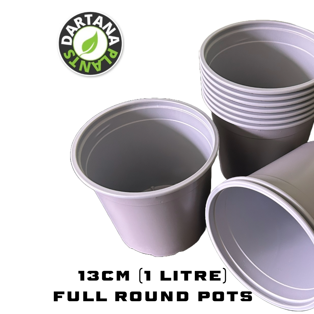 10 x 13cm (1 Litre) Plant Pots Royal Grey