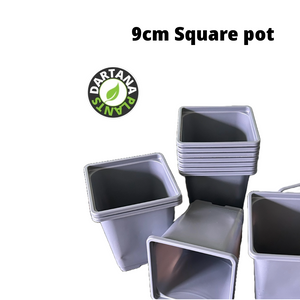 9 cm Square plastic pots Gray - 10 to 100 pots