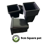 9 cm Square plastic pots Black or Gray - 10 to 100 pots