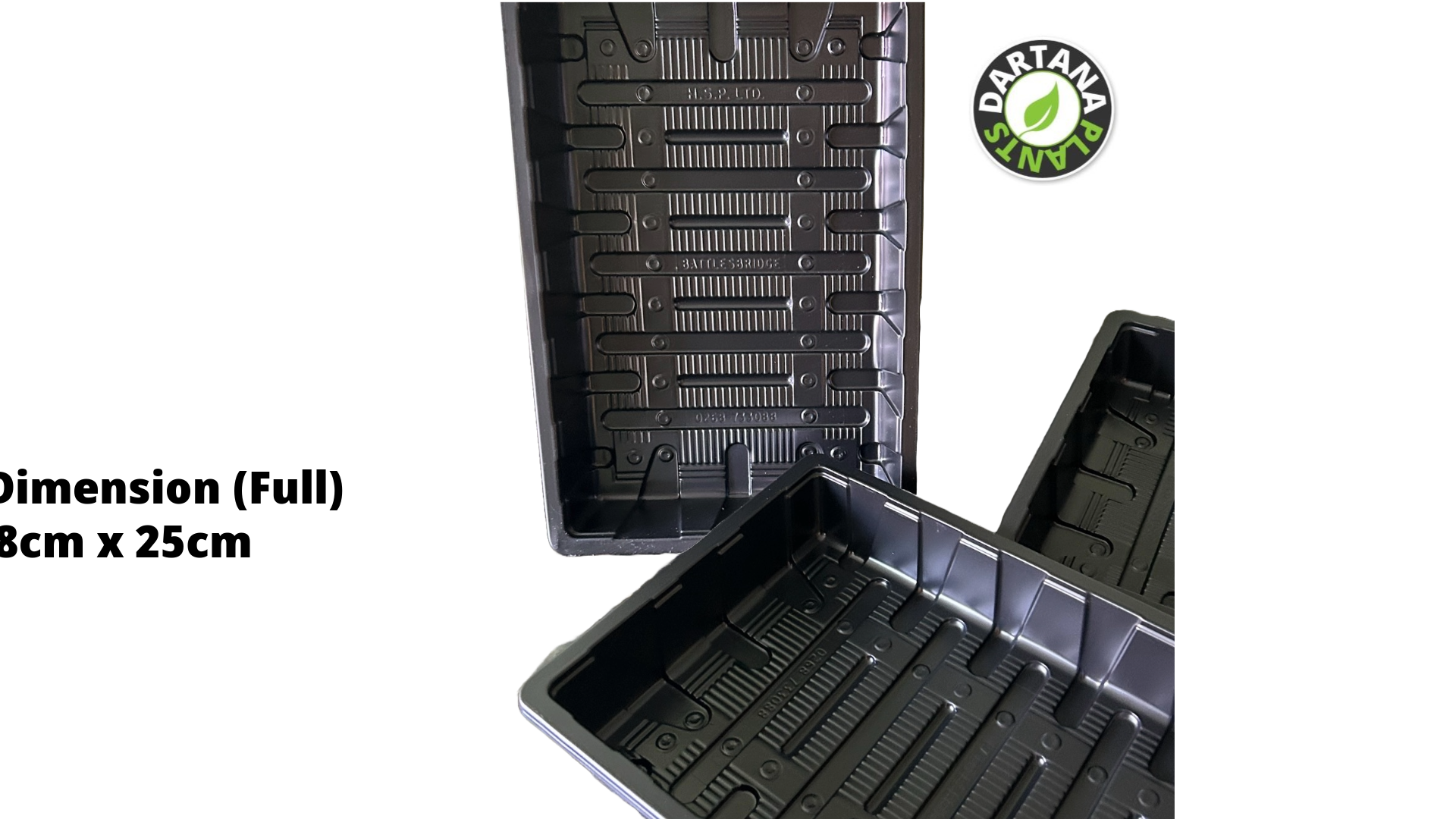 Seed Tray Full Size Without Watering Holes - Various Quantities