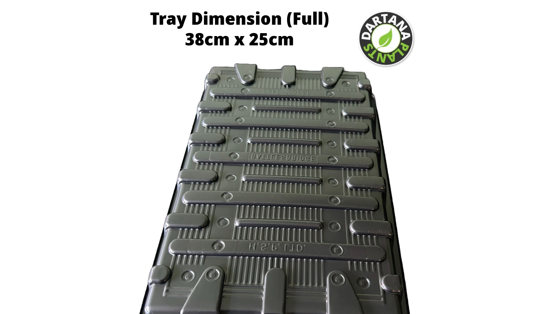 1 x Full Size Seed Tray Without Watering Holes