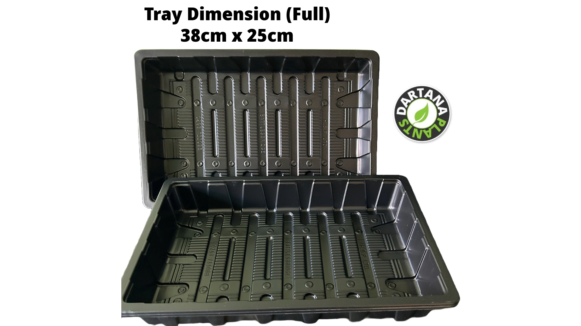 Seed Tray Full Size Without Watering Holes - Various Quantities