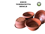 1,2,3 or 5 20cm Terracotta Bulb Bowls perfect for Bulbs, Alpines, Bonsai