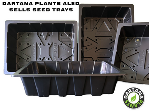 Full and Half Size Seed Tray Propagator Lids - Various No's FREE P&P