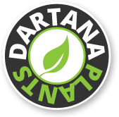 Dartana Plants