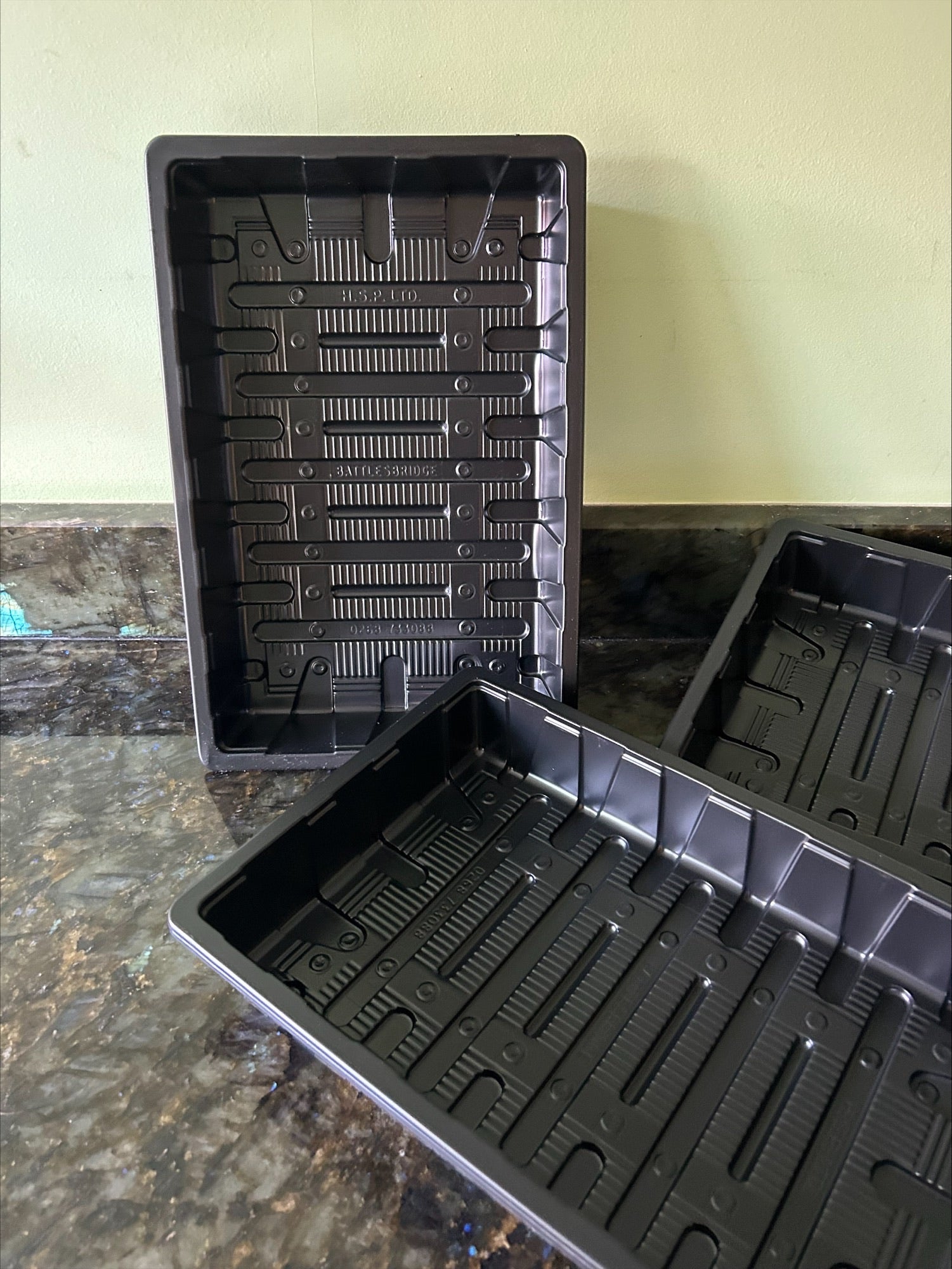 Seed Tray Full Size Without Watering Holes - Various Quantities