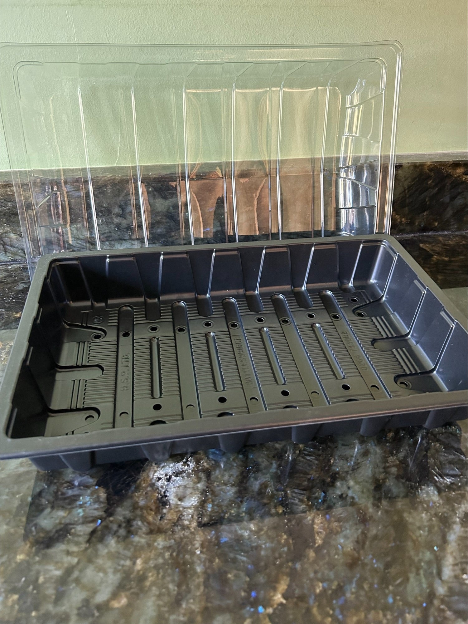 Full and Half Size Seed Tray Propagator With Watering Holes - Various Sizes and Quantities