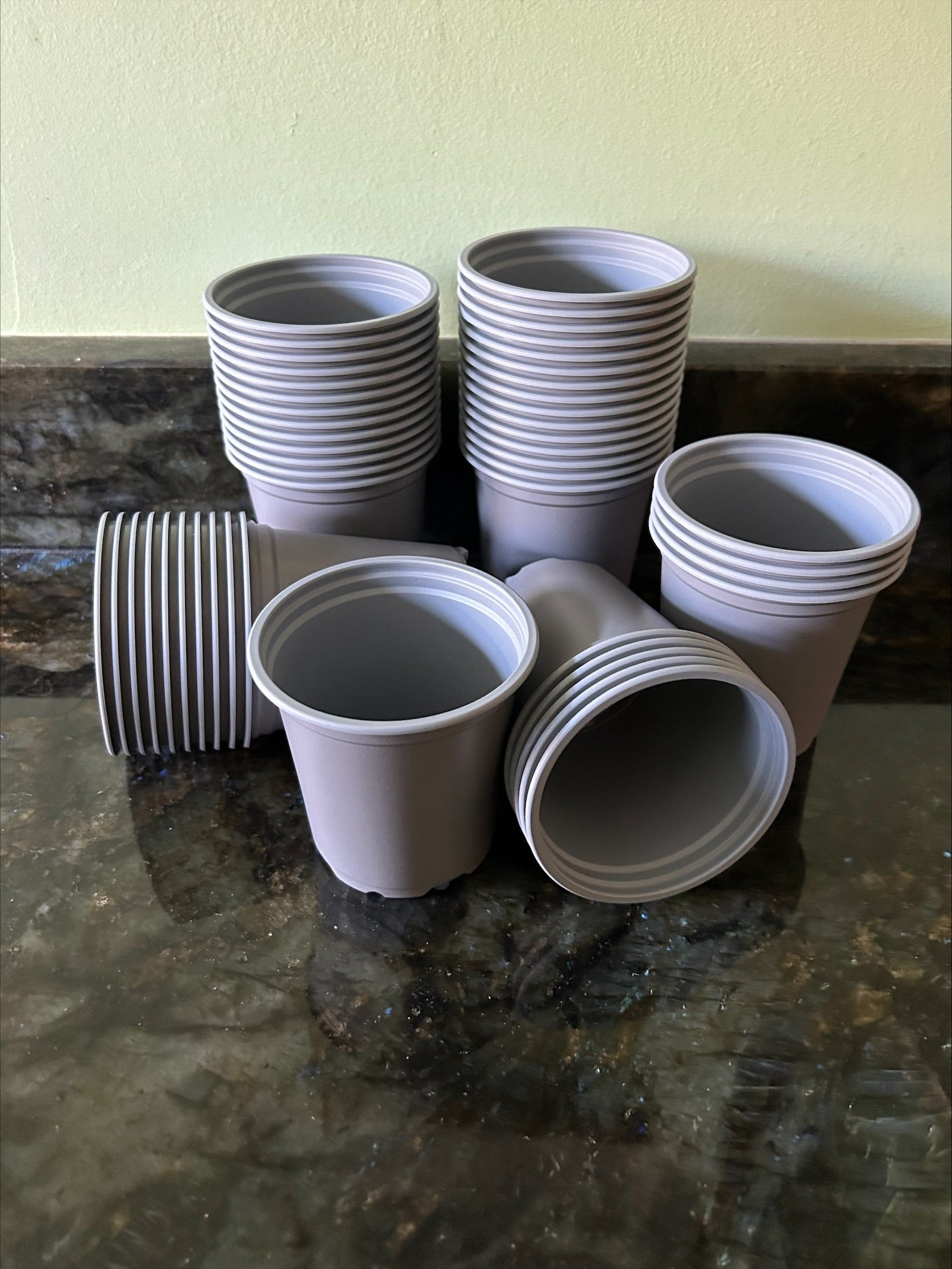 10 x 9 cm Plant Pots Royal Grey