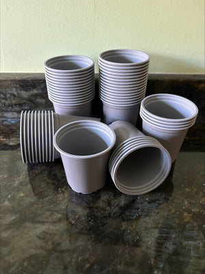 10 x 9 cm Plant Pots Royal Grey