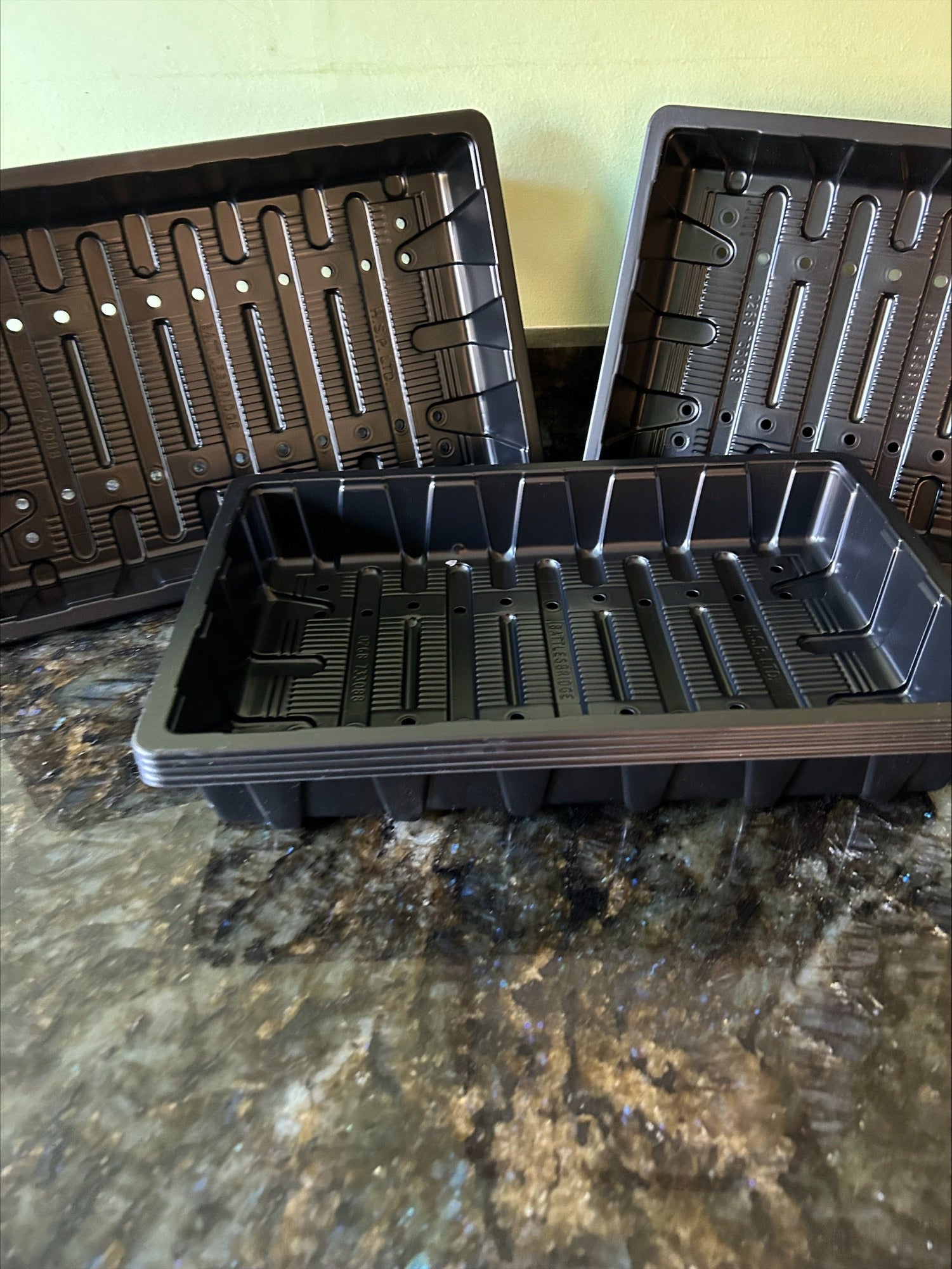 Seed Tray Full and Half Size With Watering Holes