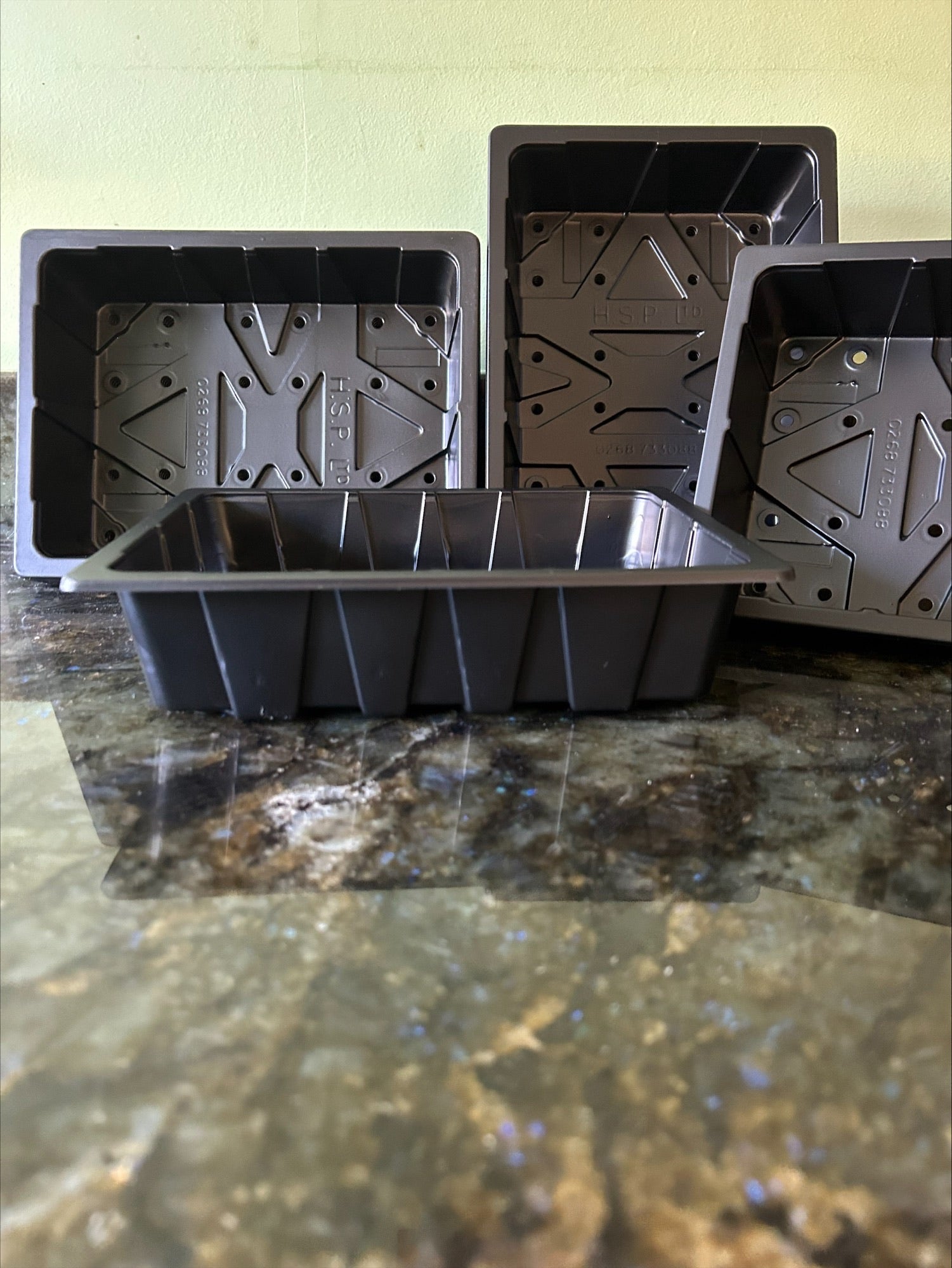 5 x Seed Trays (Half Size) With Watering Holes