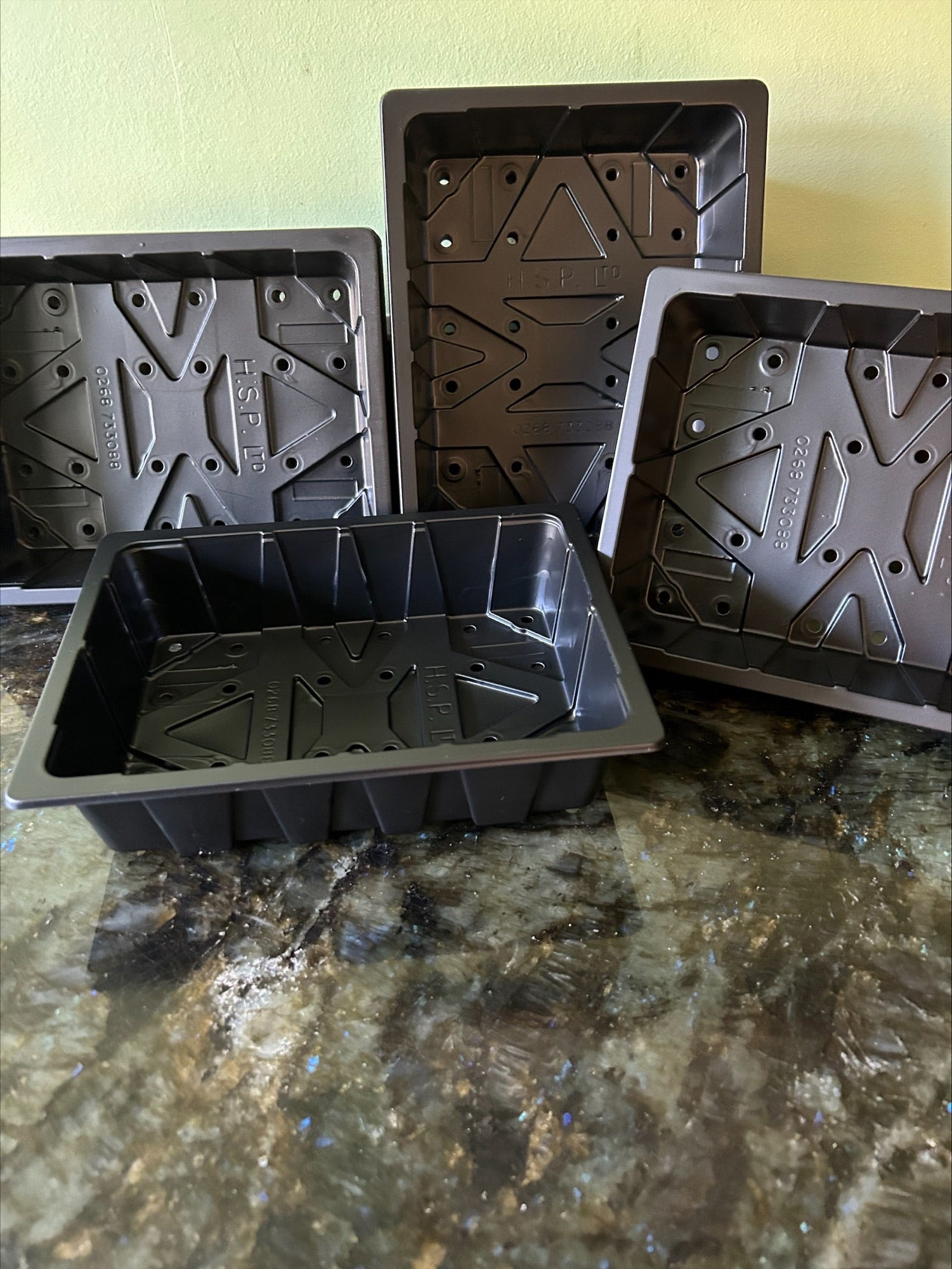 5 x Seed Trays (Half Size) With Watering Holes