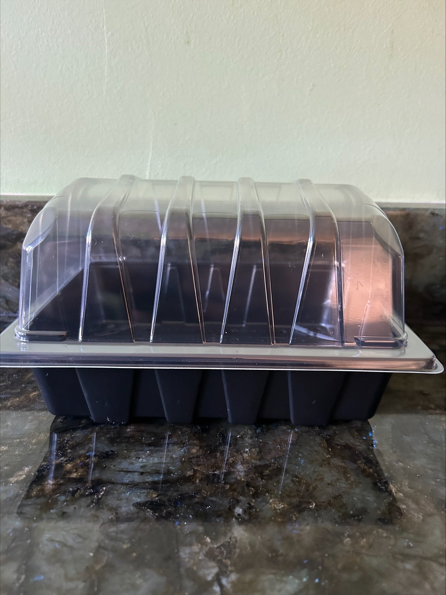 Full and Half Size Seed Tray Propagator With Watering Holes - Various Sizes and Quantities