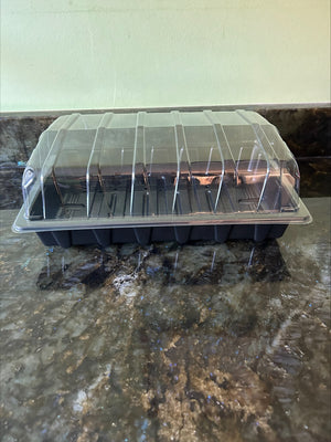 Full and Half Size Seed Tray Propagator With Watering Holes - Various Sizes and Quantities