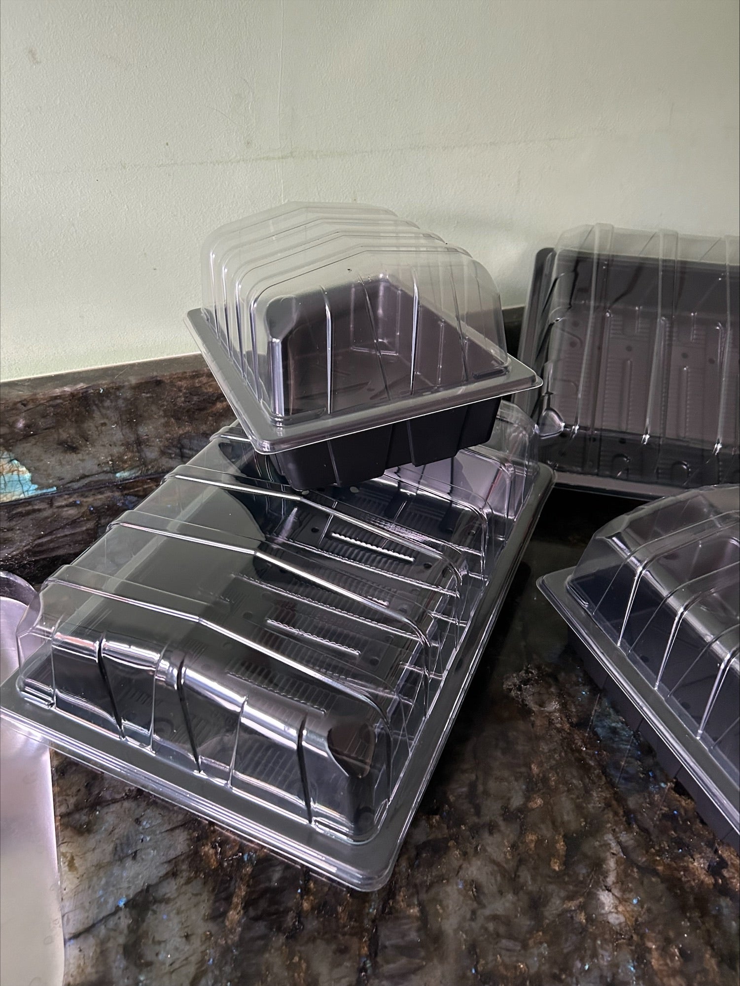 Full and Half Size Seed Tray Propagator With Watering Holes - Various Sizes and Quantities