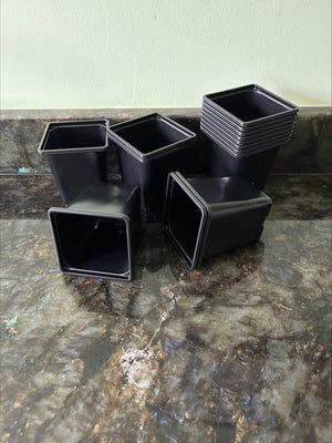 9 cm Square plastic pots Black - Quantity 10