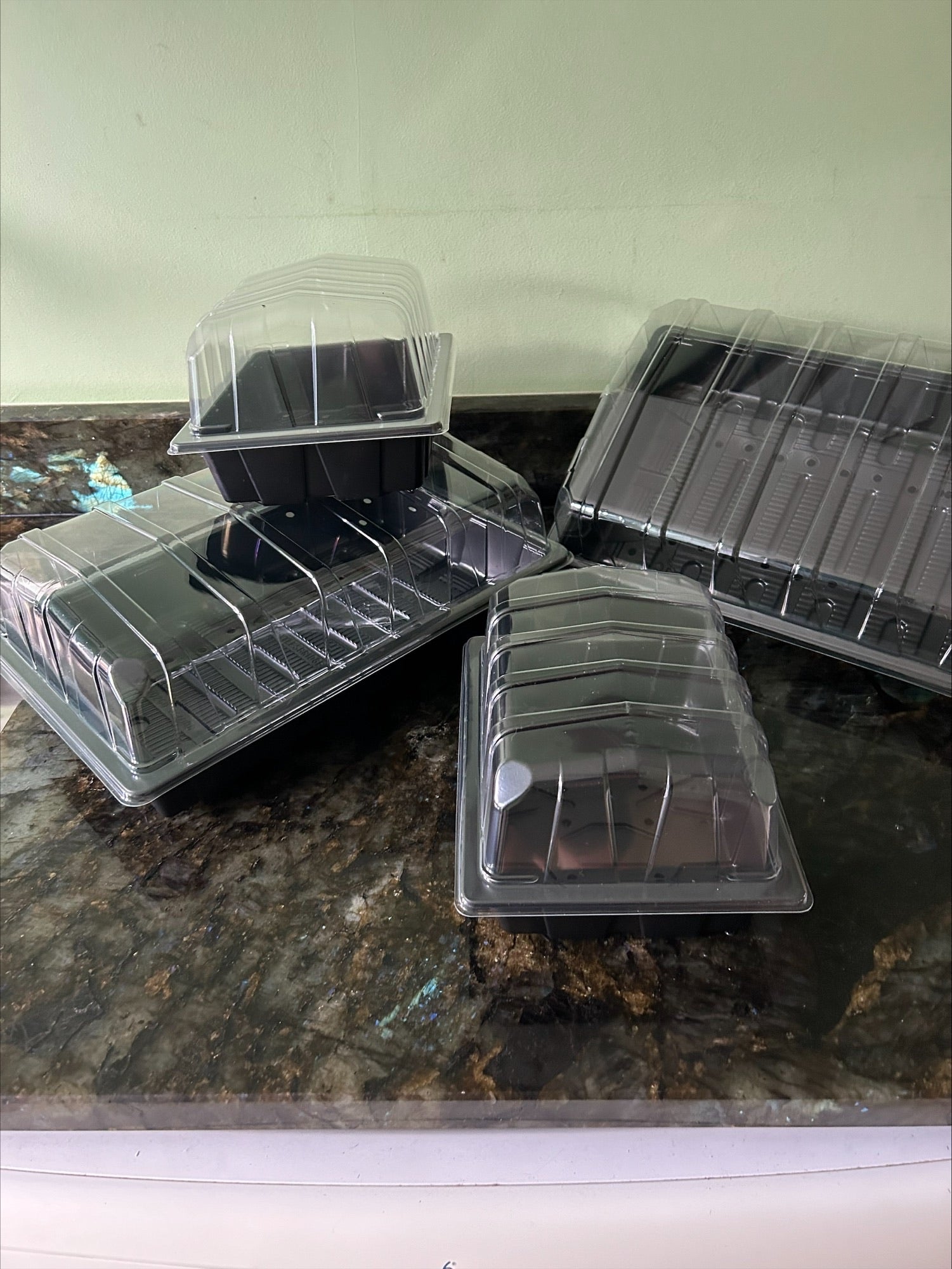 Full and Half Size Seed Tray Propagator With Watering Holes - Various Sizes and Quantities