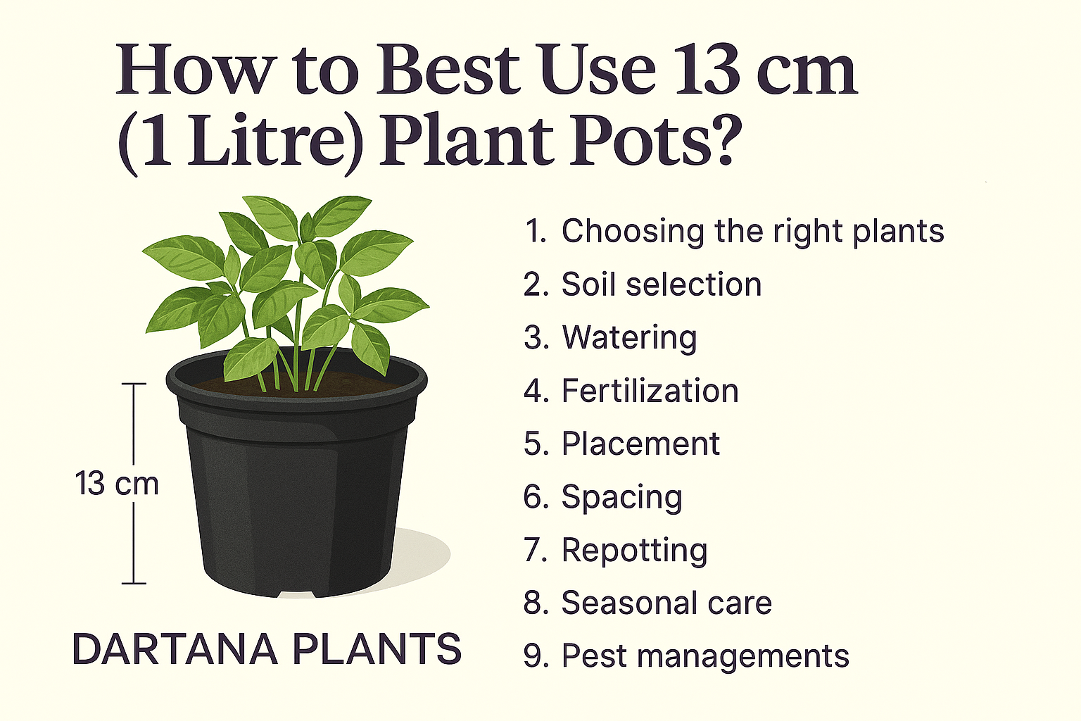 How to Best Use 13 cm (1 Litre) Plant Pots