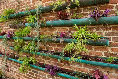 The Benefits of Vertical Gardening