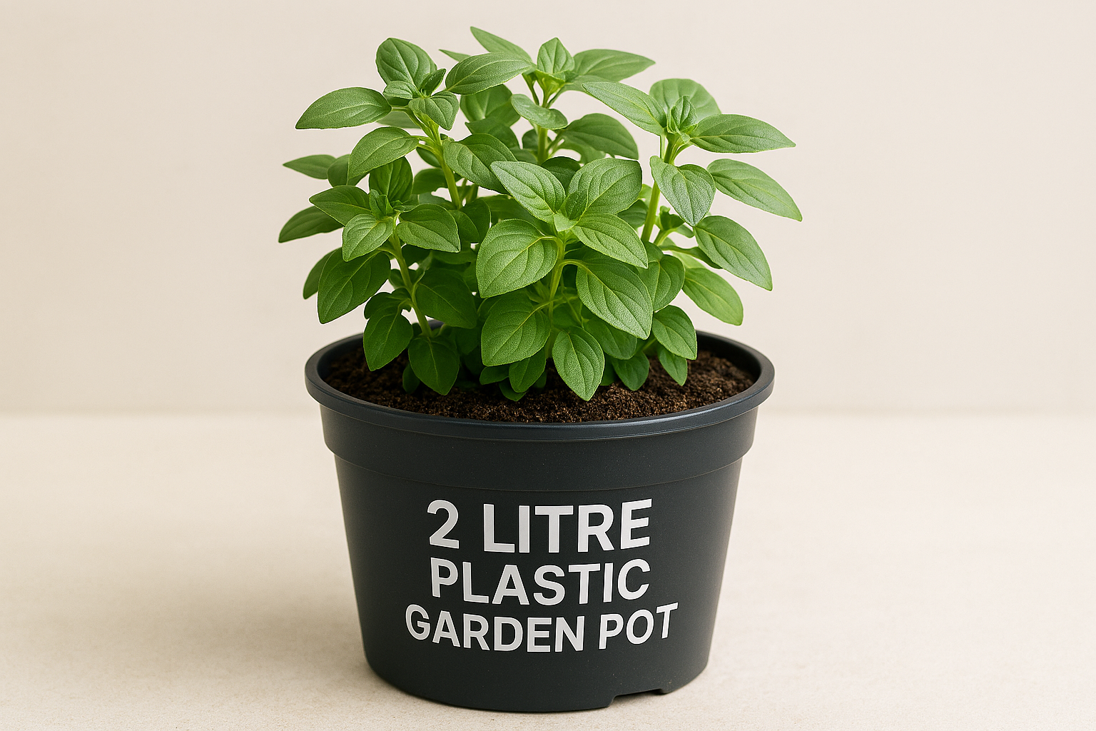 🌱 How to Best Use a 2 Litre Plastic Garden Pot