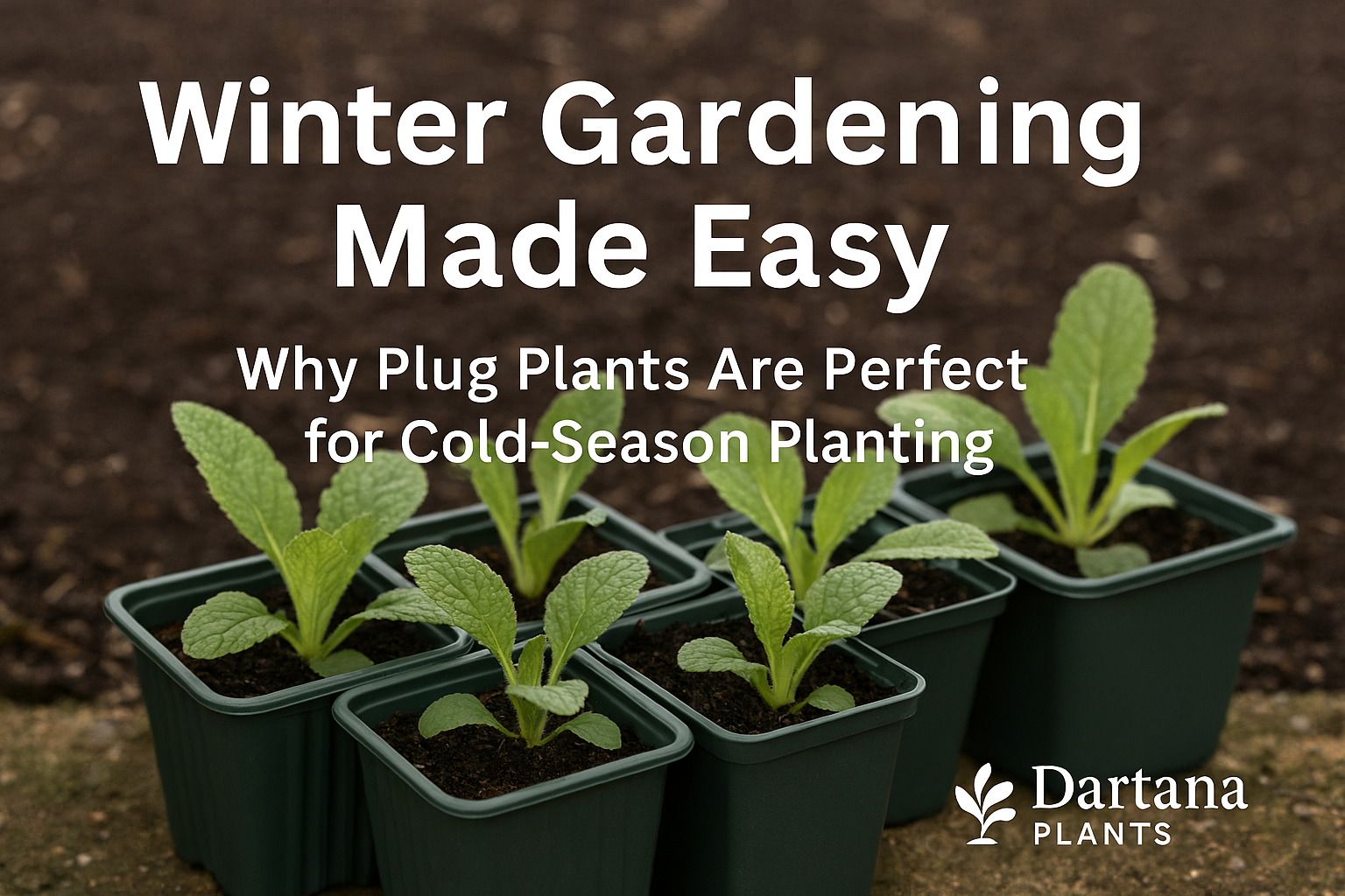 “Best Compost Mix for Starting Seeds Indoors”