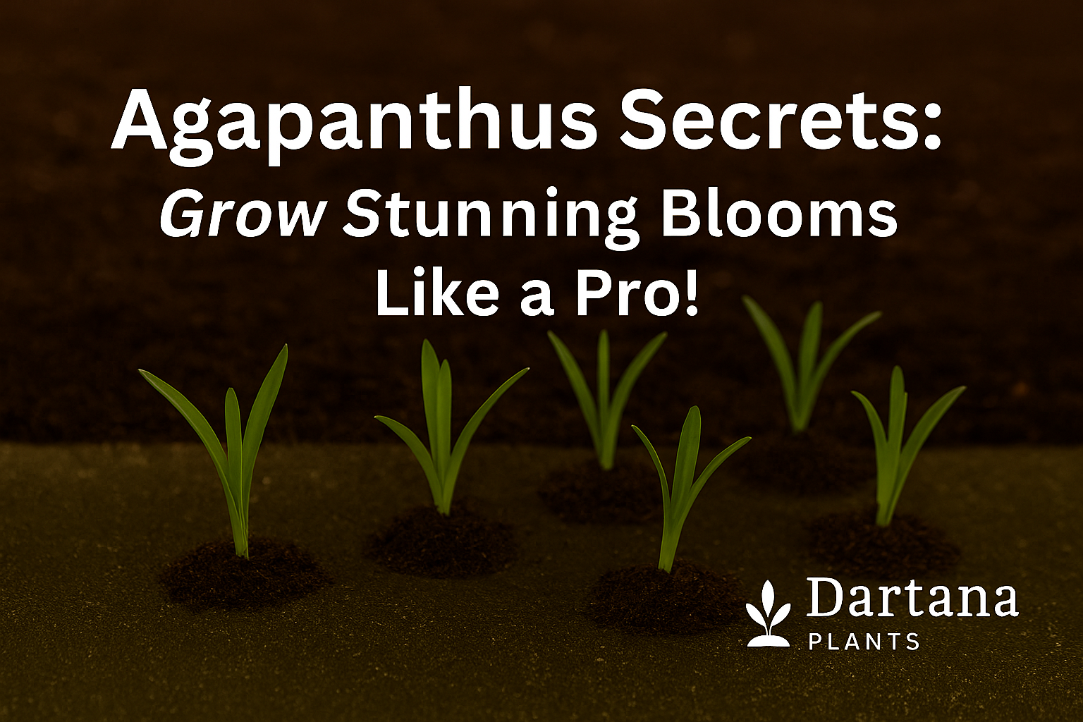 Agapanthus Secrets: Grow Stunning Blooms Like a Pro!