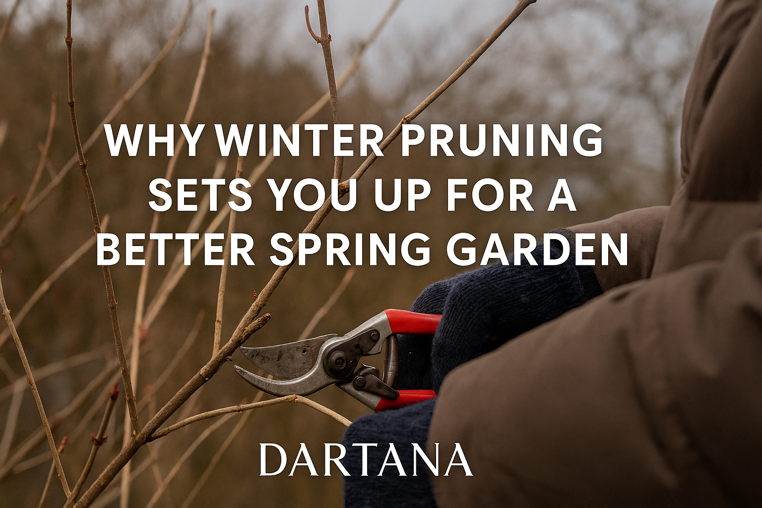 Why Winter Pruning Sets You Up for a Better Spring Garden