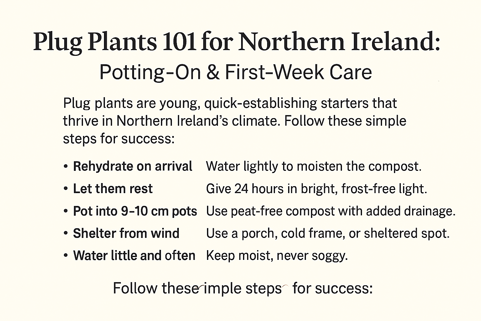 Plug Plants 101 for Northern Ireland: Potting On & First Week Care
