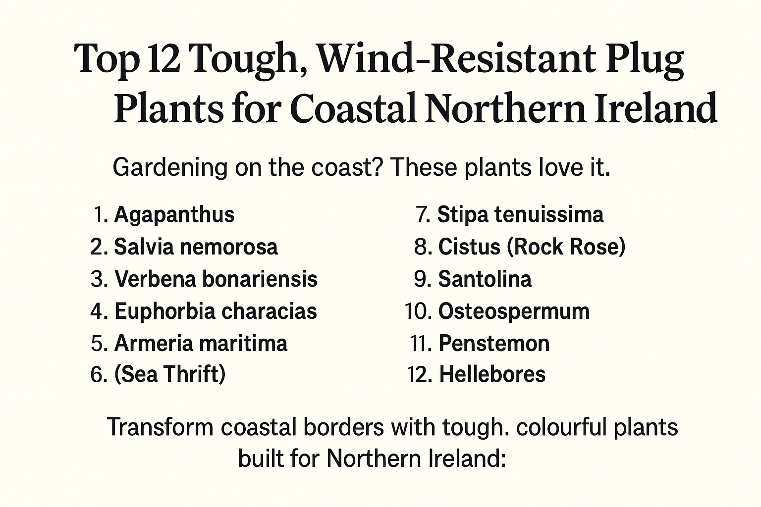 Top 12 Tough, Wind Resistant Plug Plants for Coastal Northern Ireland